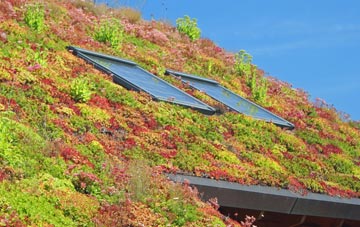 Auchinleish living roof systems