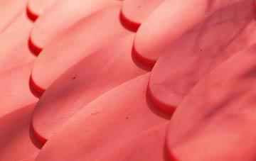 Auchinleish plastic roof costs