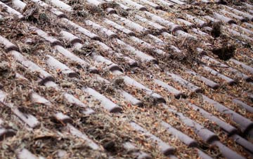 Auchinleish roof cleaning companies